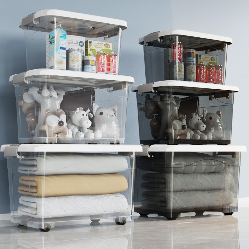 Transparent portable storage box