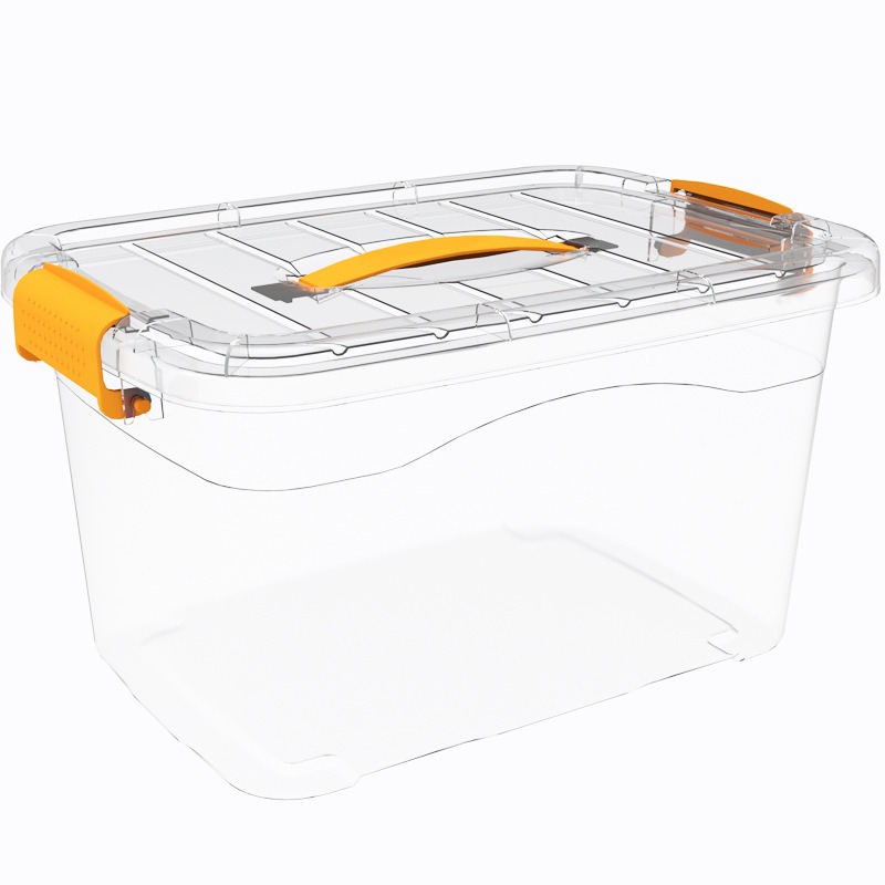 Transparent portable storage box